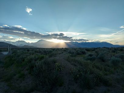 Brown's Salvage Yard, Bishop, California