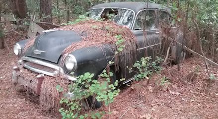 Junk Cars, Pelion, South Carolina